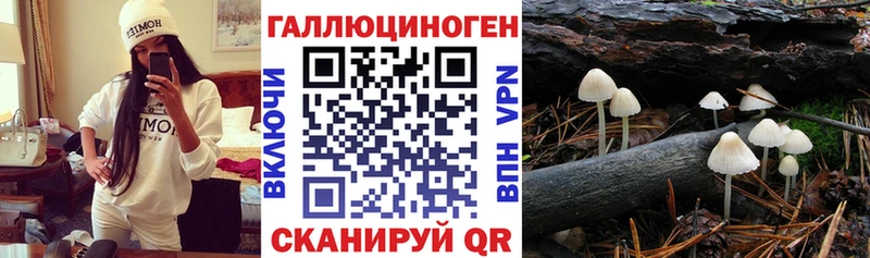 Галлюциногенные грибы Psilocybine cubensis Сатка
